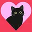 Cat Lover icon