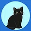 Meow? icon
