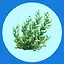 Weed Woes icon