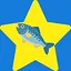 Gold Star icon