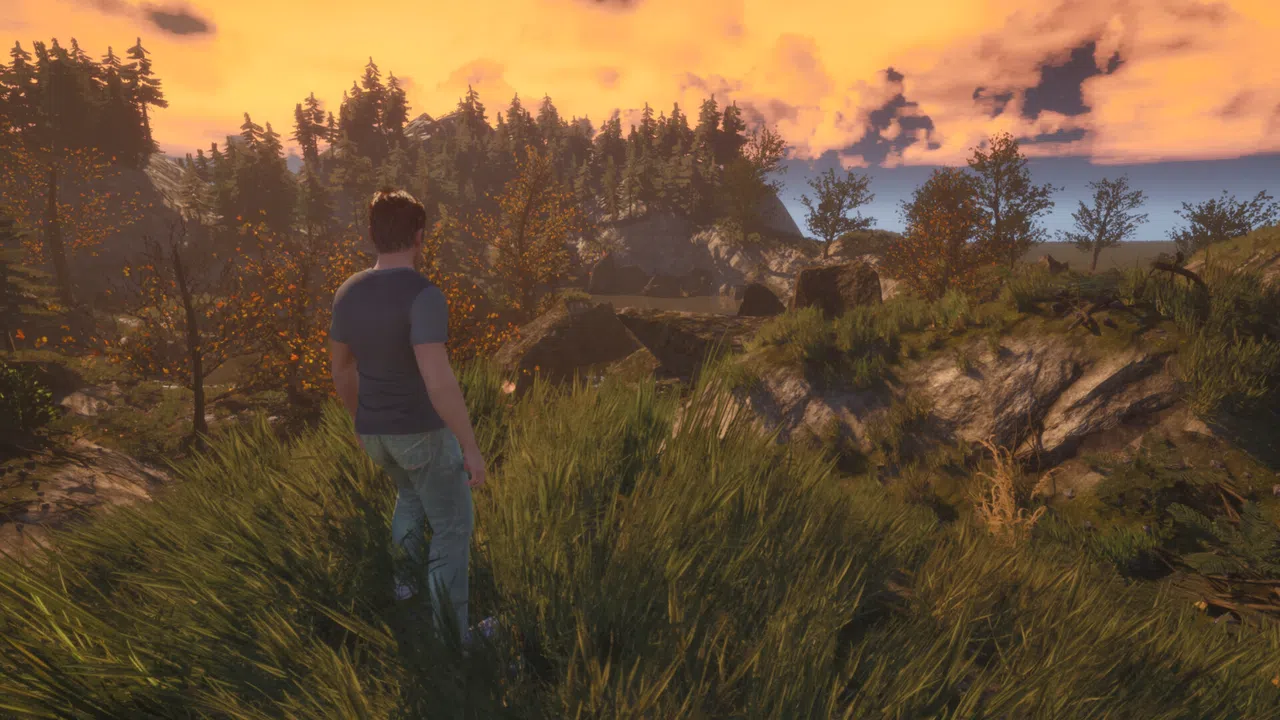 Artemed Screenshot 2