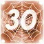 Level 30 icon
