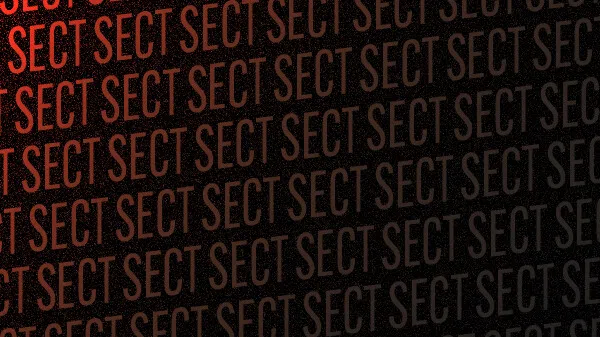 SECT Screenshot 5