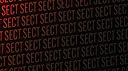 SECT Screenshot 5