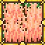 Farm Master icon