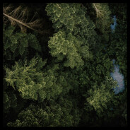 Enjoying nature icon