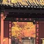 初出茅庐 icon
