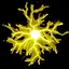 Thunderclap icon