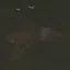 Left 4 Dead icon