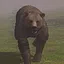 Survived Bearly icon