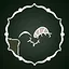 Coyote Expert icon