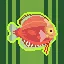 Fish Fanatic! icon