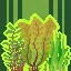 Rainforest icon