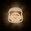 Treasure Seeker icon