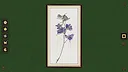 Nature Atelier Screenshot 15