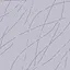 奔向未来 icon