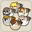 Ornithology Master icon
