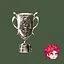 Winner icon