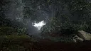 TheLostWoods / 迷いの森 Screenshot 1