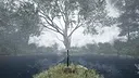 TheLostWoods / 迷いの森 Screenshot 3