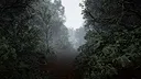 TheLostWoods / 迷いの森 Screenshot 0