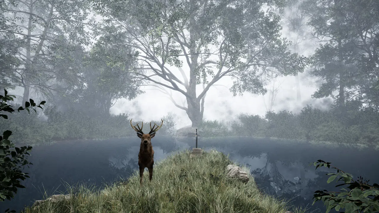TheLostWoods / 迷いの森 Screenshot 4
