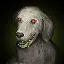 Dog icon