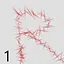 Rookie Numbers icon