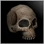 The Skulls Can Talk icon
