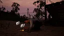Robinson Crusoe Demo Screenshot 14