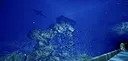 Aquarium at August 32nd VR Screenshot 4