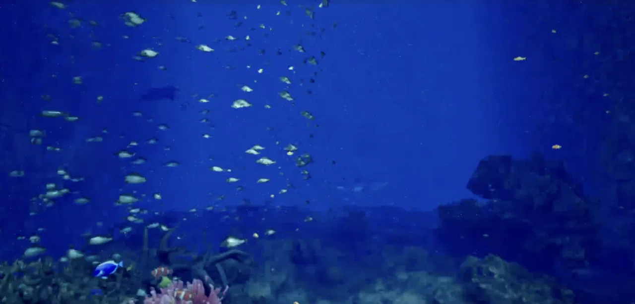 Aquarium at August 32nd VR Screenshot 3