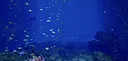 Aquarium at August 32nd VR Screenshot 3