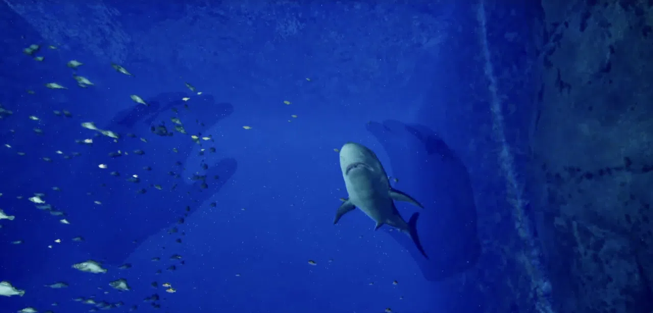 Aquarium at August 32nd VR Screenshot 0