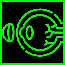 Parasight Expert icon