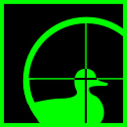 Duck Hunt icon
