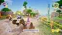 PAW Patrol™ Rescue Wheels™: Championship Screenshot 7