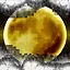 Rogue Ninja icon