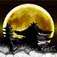 Full Circle Ninja icon