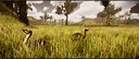 Dinosaur Screenshot 4
