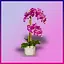 Razzmatazz icon