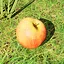 Who put this here? icon