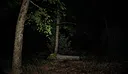 Lost Whispers Screenshot 3