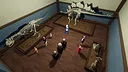 Fossil Keeper Screenshot 2