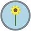 Water Me icon