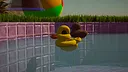 Placid Plastic Duck Simulator - Ducks Galore Screenshot 0