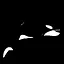 見習いクジラ icon
