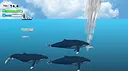 Life of Whale Screenshot 3