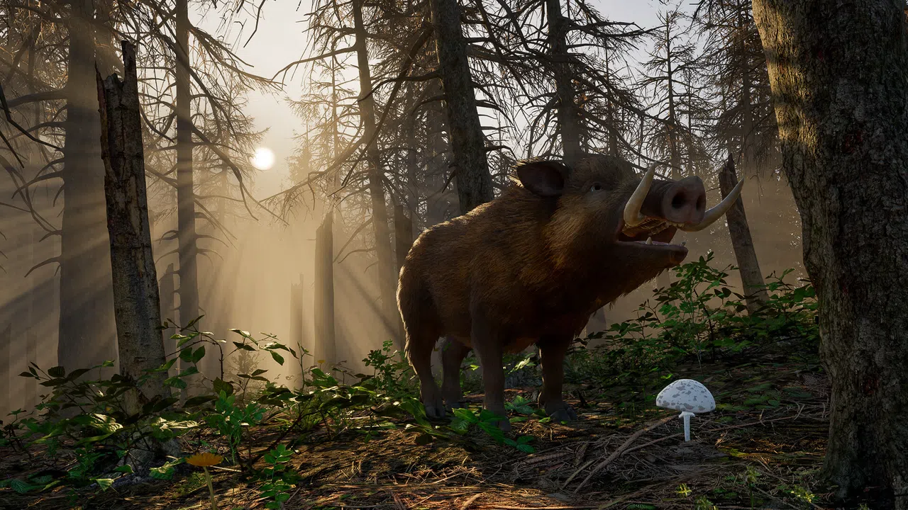 Wild Terrain Screenshot 3