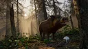 Wild Terrain Screenshot 3